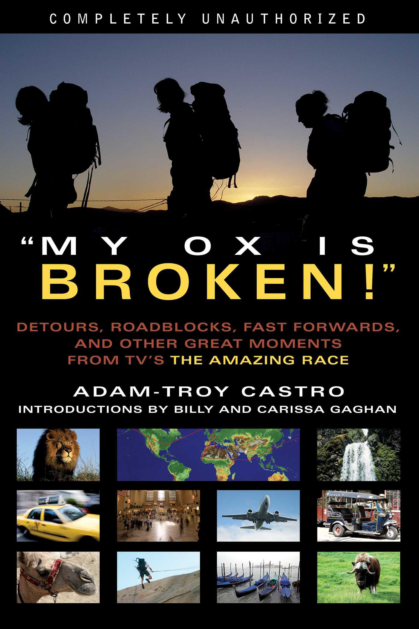 Cover image for My Ox Is Broken!