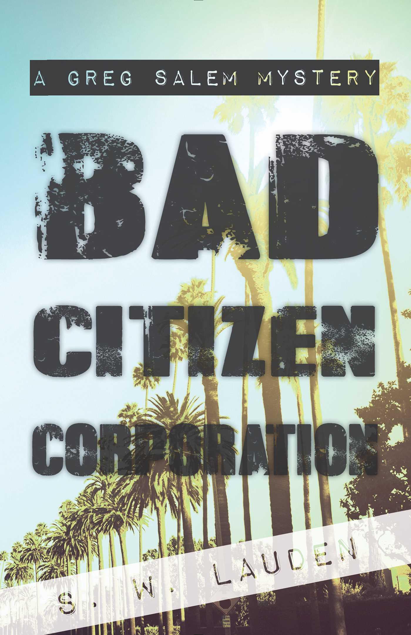 Cover image for Bad Citizen Corporation