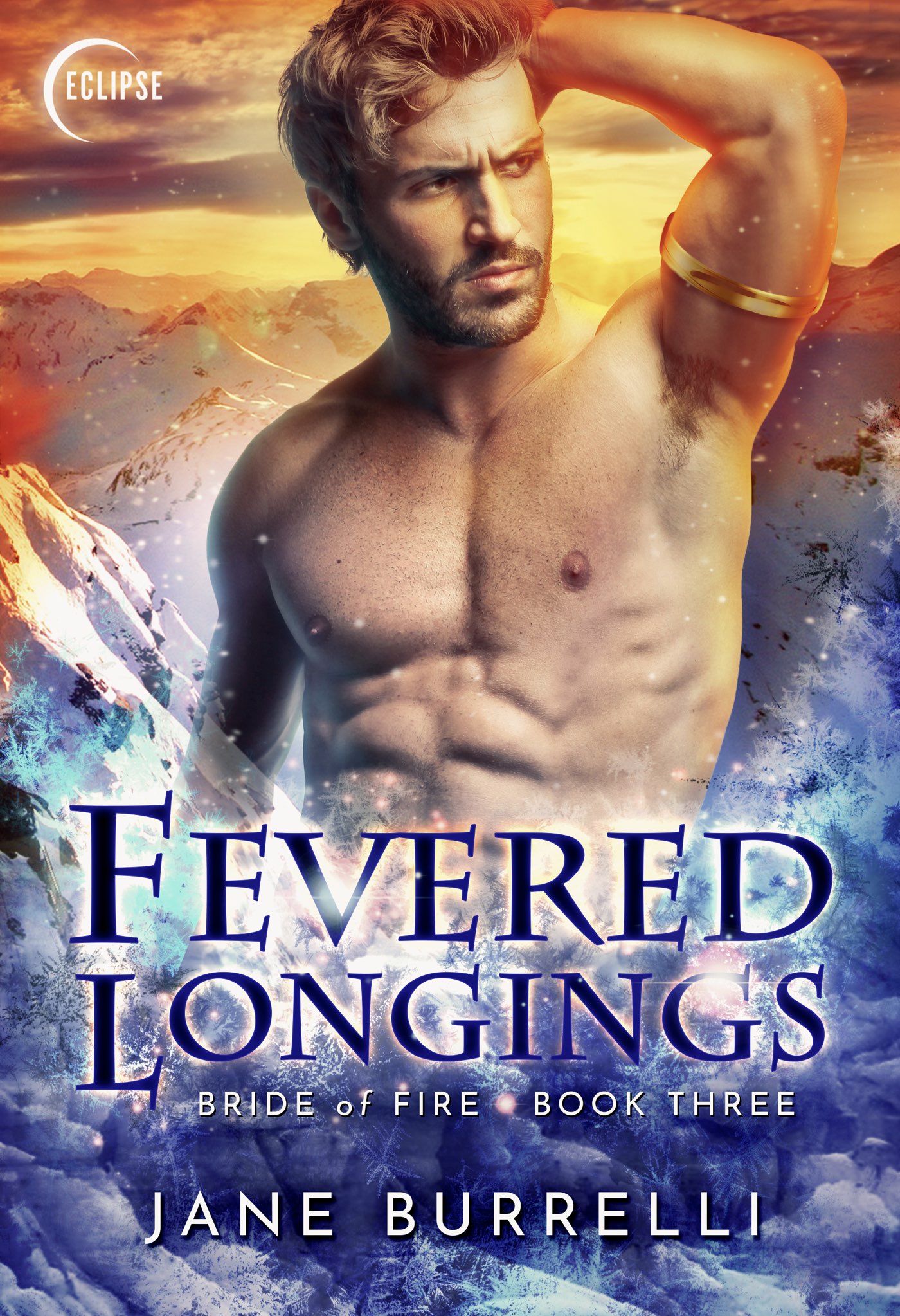Cover image for Fevered Longings