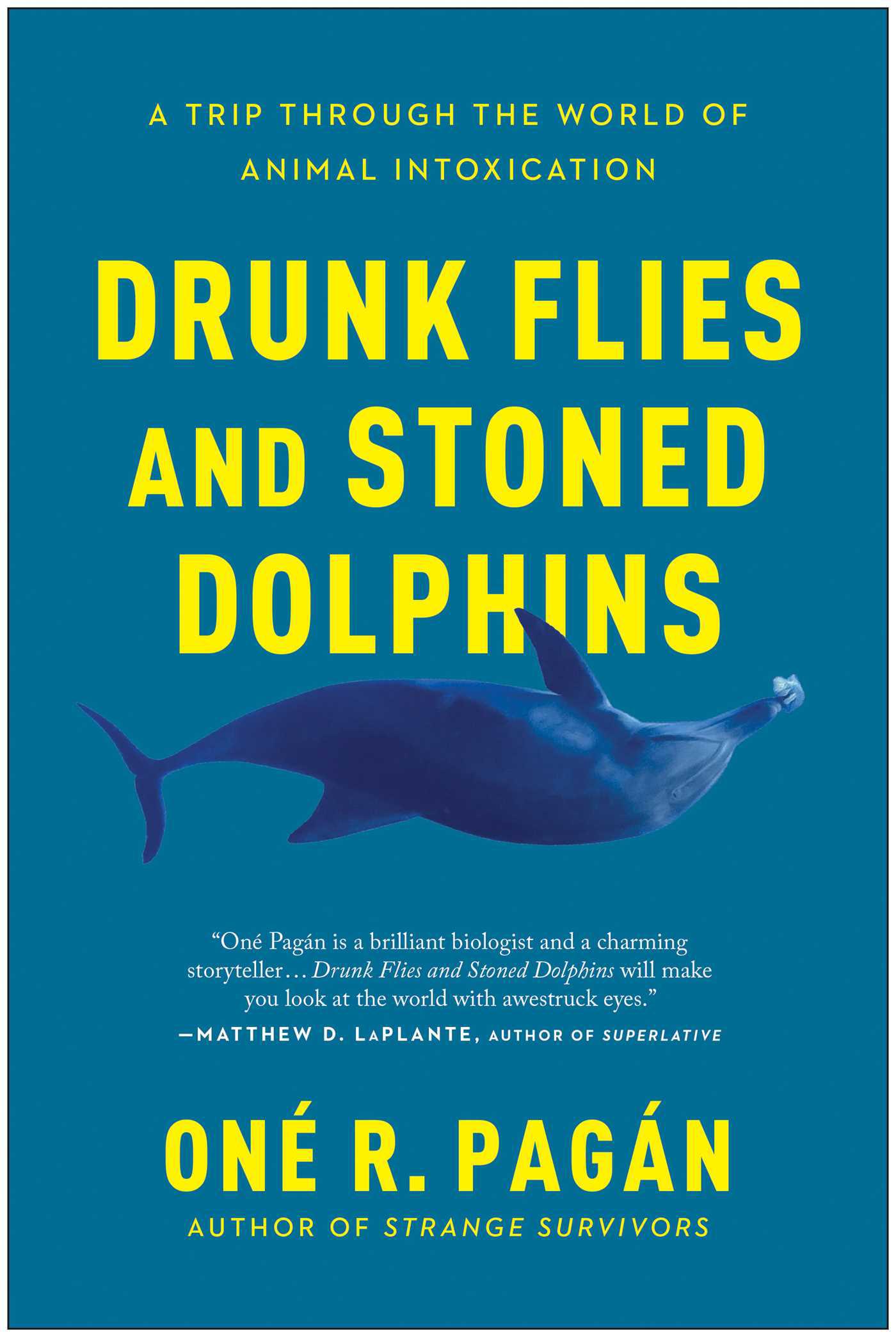 Cover image for Drunk Flies and Stoned Dolphins