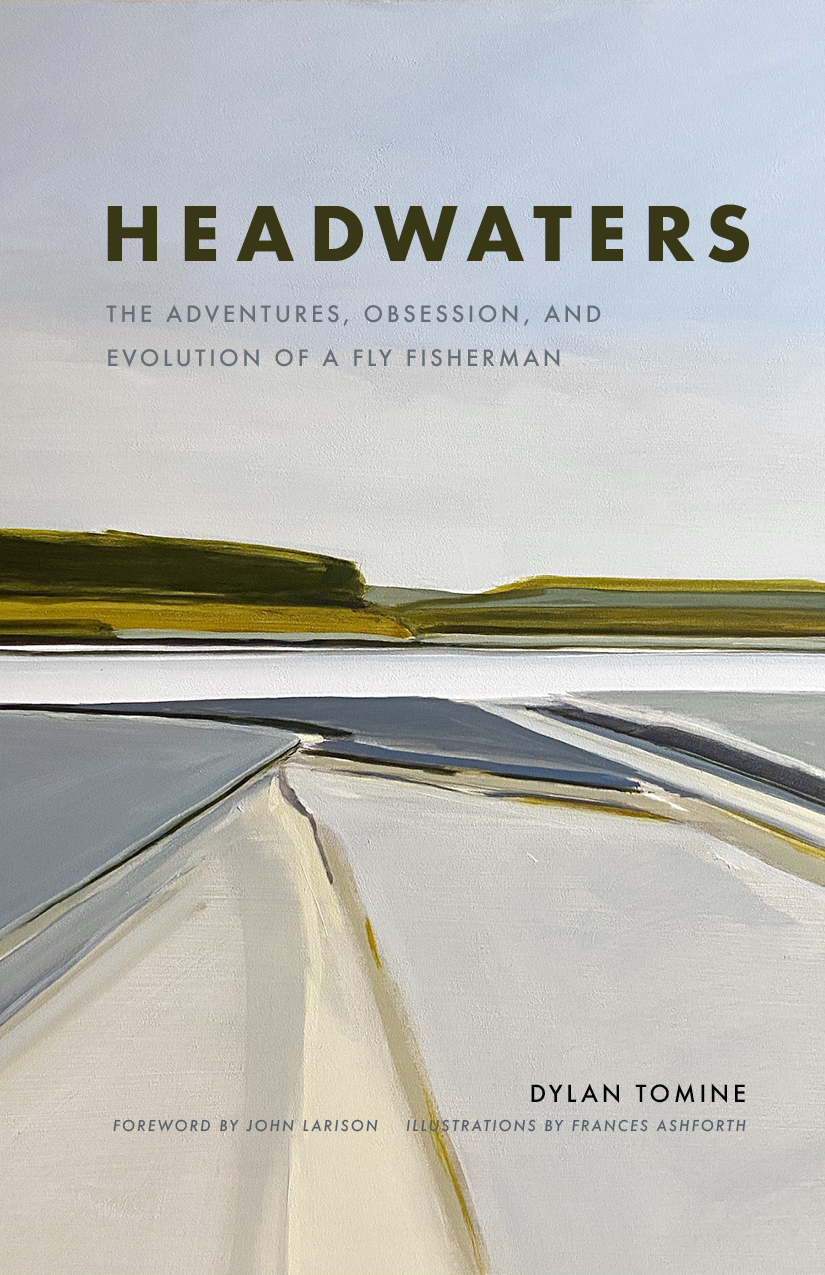 Cover image for Headwaters