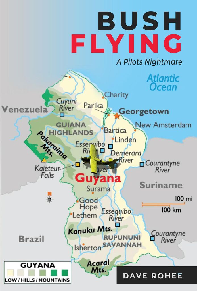 Cover image for BUSH FLYING