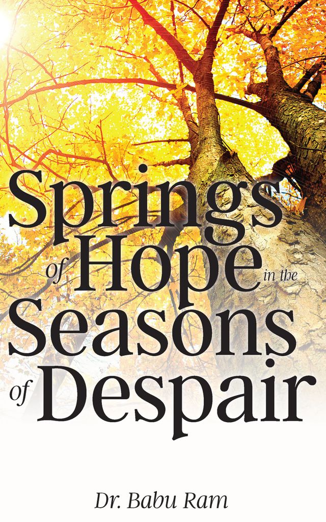 Cover image for Springs of Hope in the Seasons of Despair