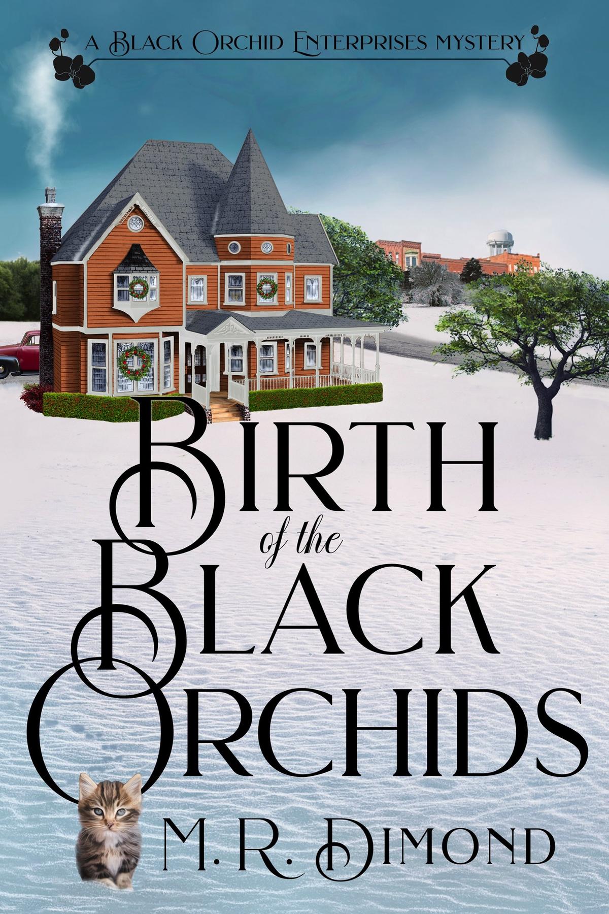 Cover image for Birth of the Black Orchids