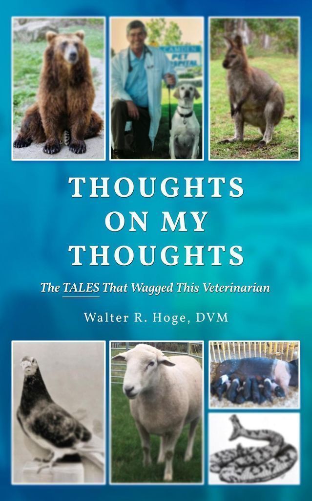 Cover image for Thoughts On My Thoughts