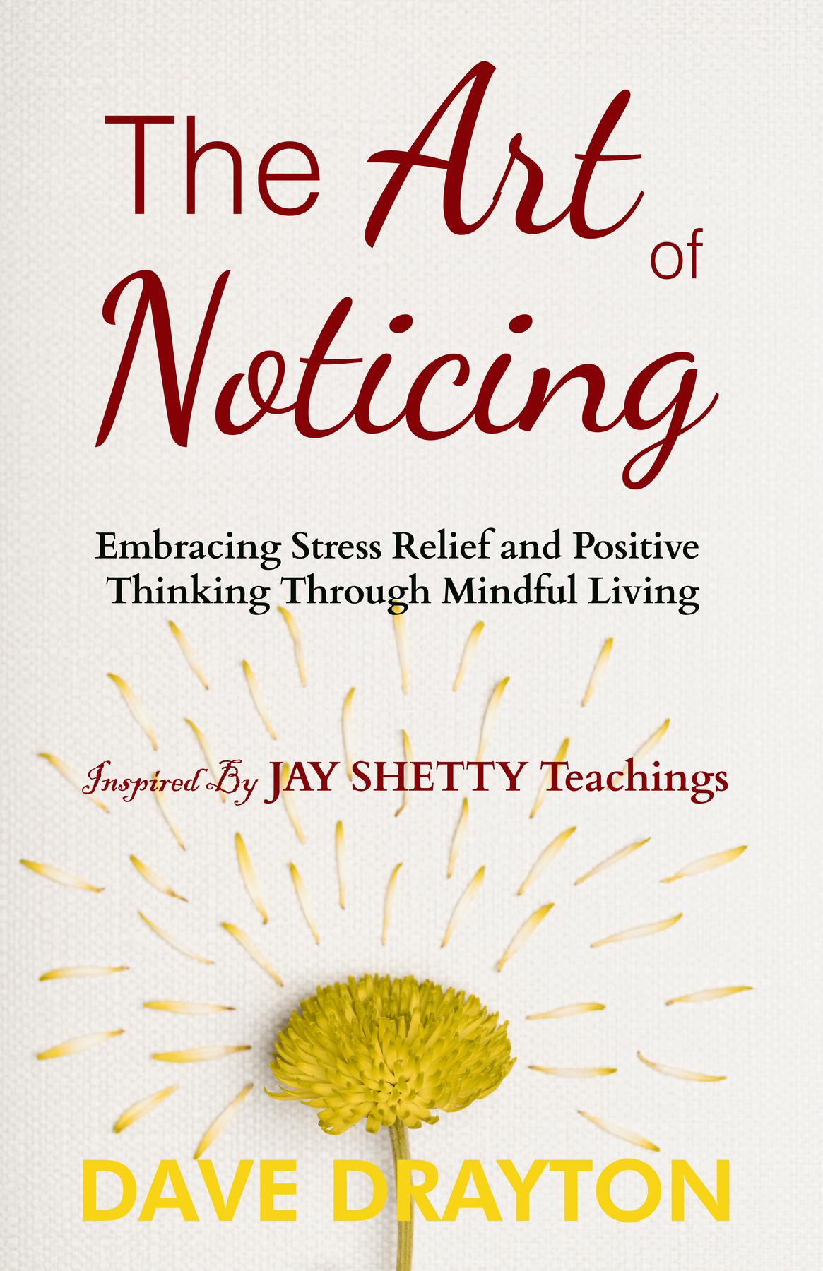 Cover image for The art of Noticing