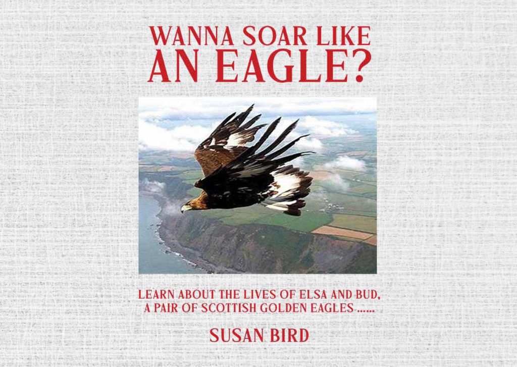 Cover image for WANNA SOAR LIKE AN EAGLE?