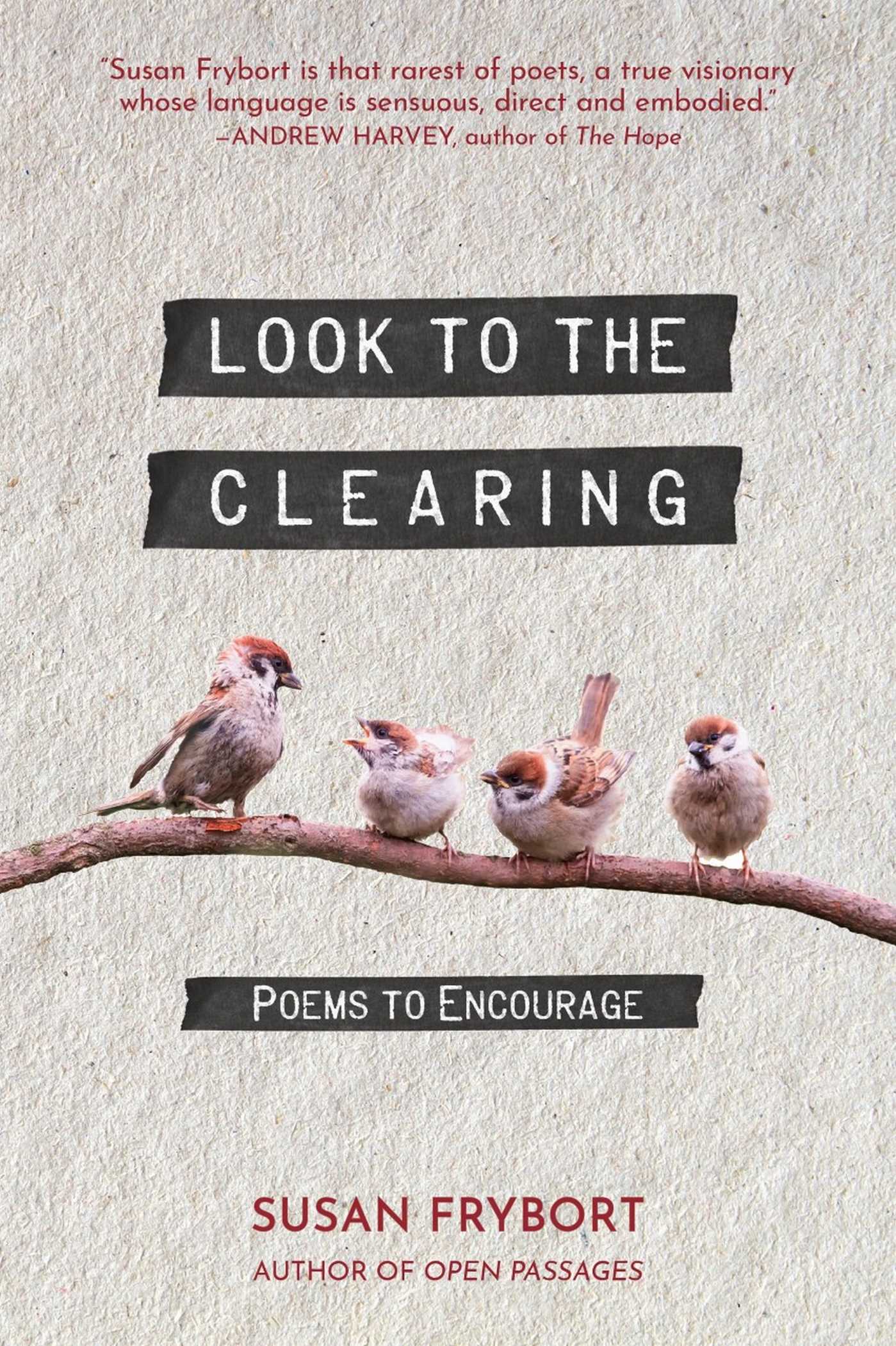Cover image for Look to the Clearing