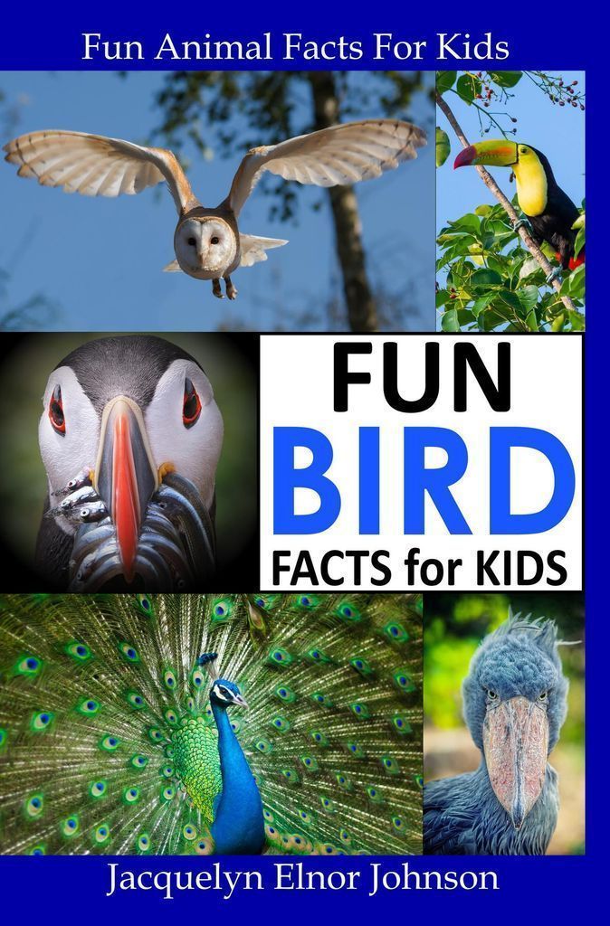 Fun Bird Facts for Kids by: Jacquelyn Elnor Johnson - 9781989595978