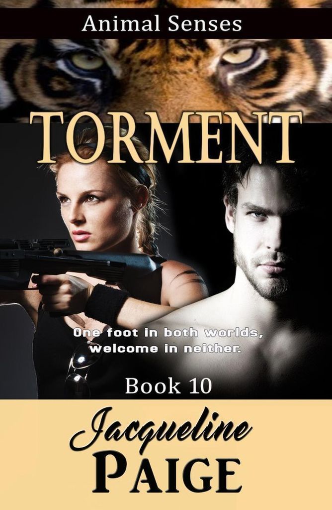 Cover image for Torment