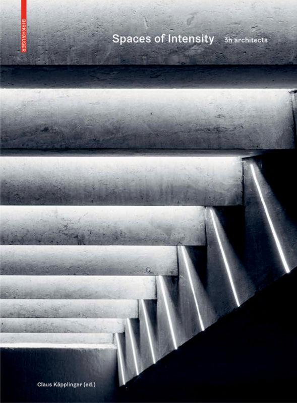 Cover image for Spaces of Intensity