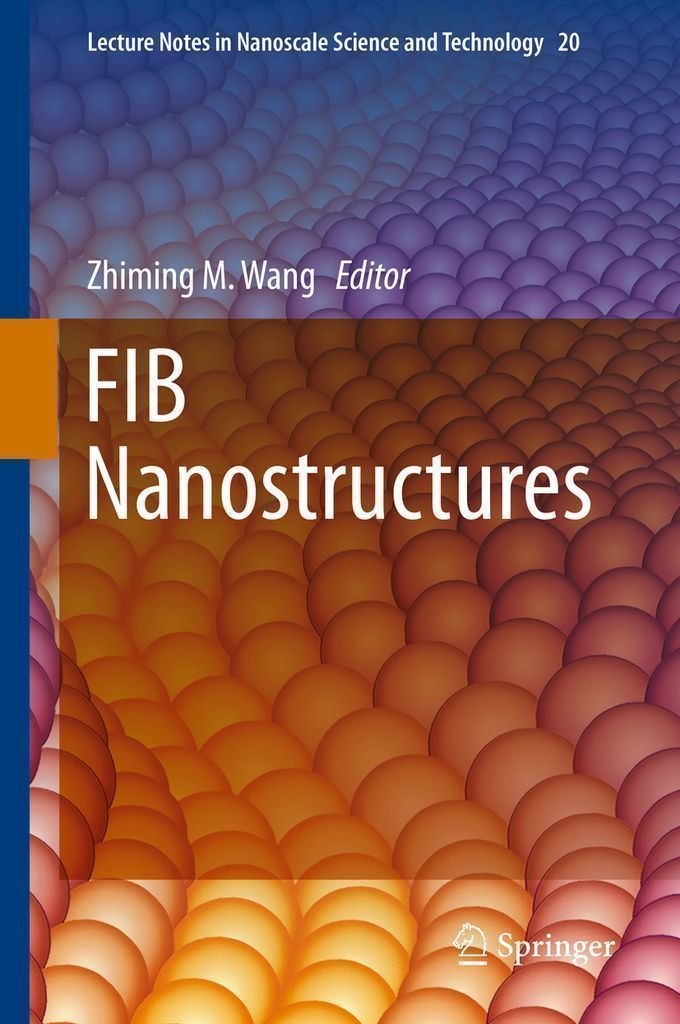 Cover image for FIB Nanostructures