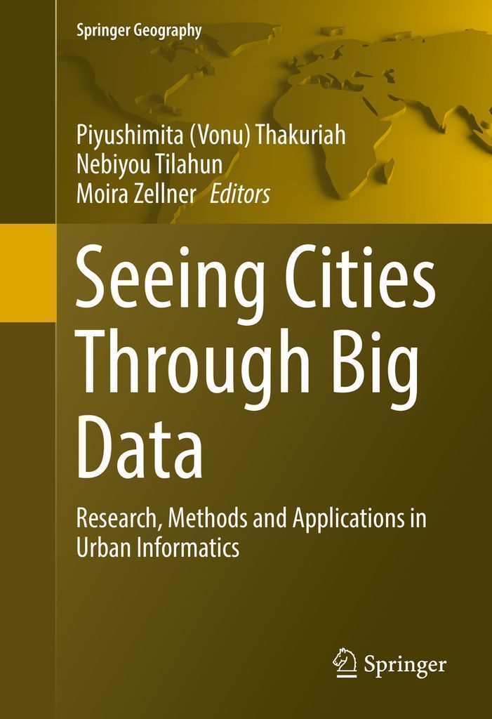Cover image for Seeing Cities Through Big Data
