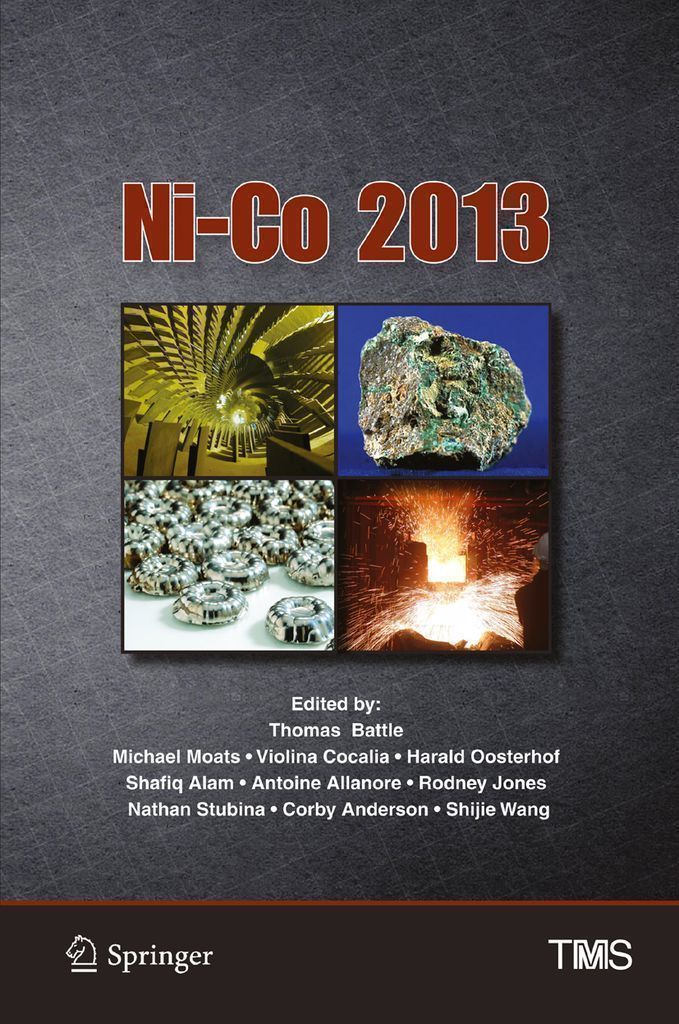 Cover image for Ni-Co 2013