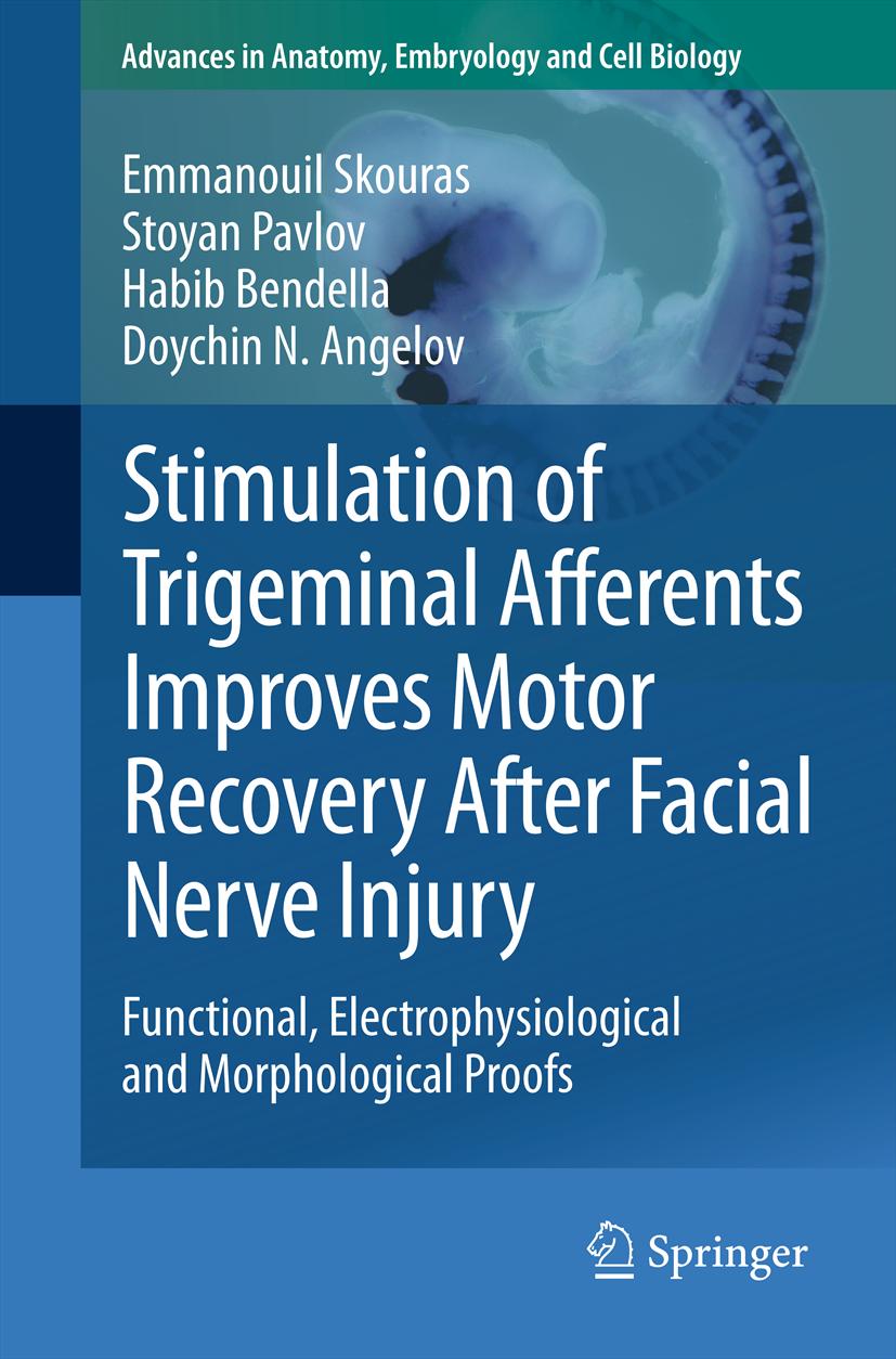 Cover image for Stimulation of Trigeminal Afferents Improves Motor Recovery After Facial Nerve Injury