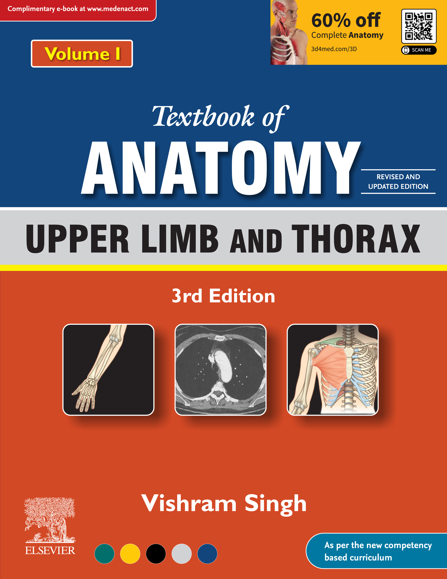 Upper Limb - Nerve Anatomy - Neuroanatomy Flashcards