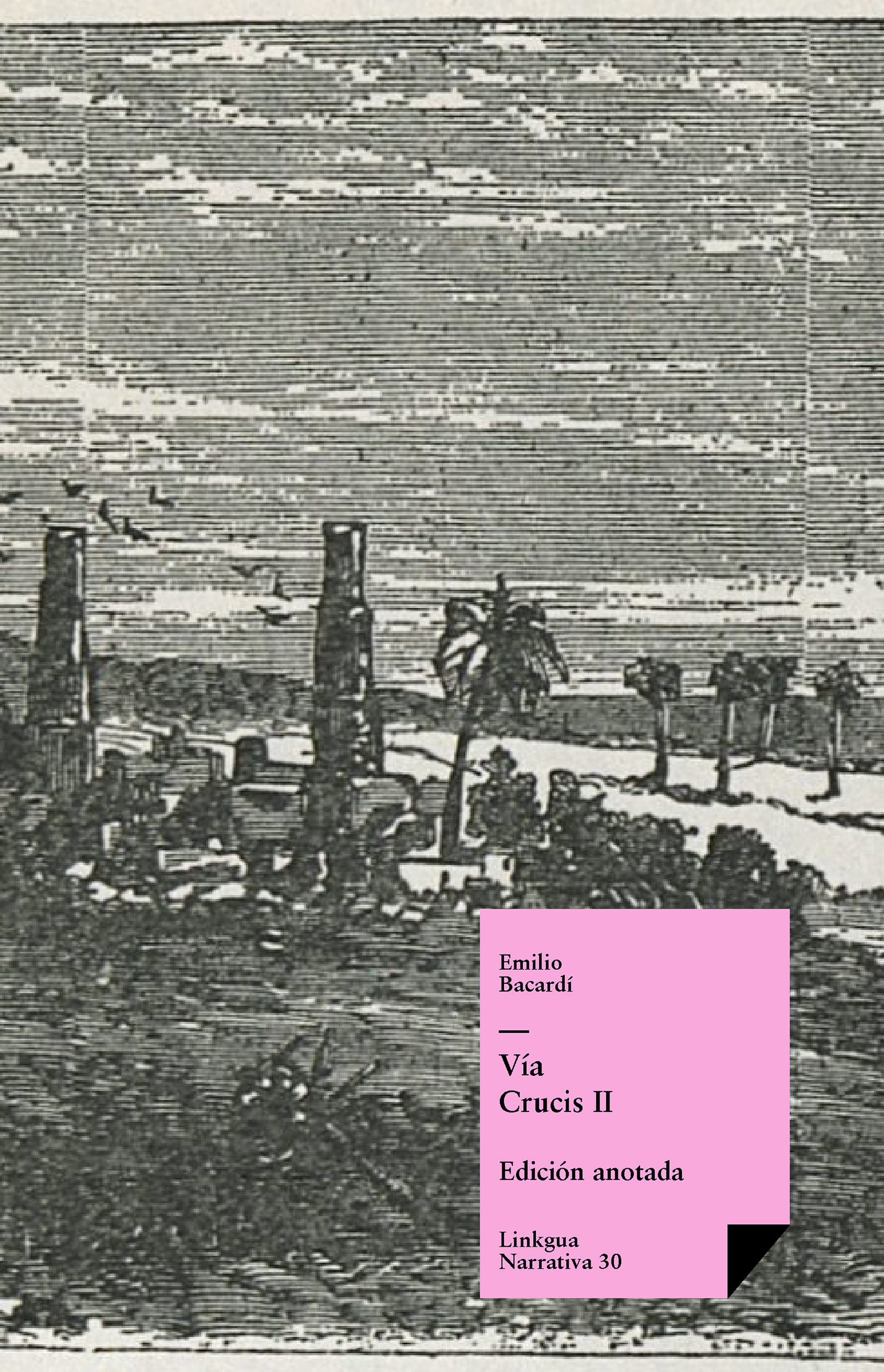 Cover image for Via Crucis II