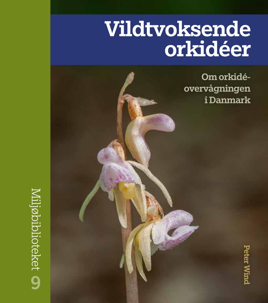 Cover image for Vildtvoksende orkideer