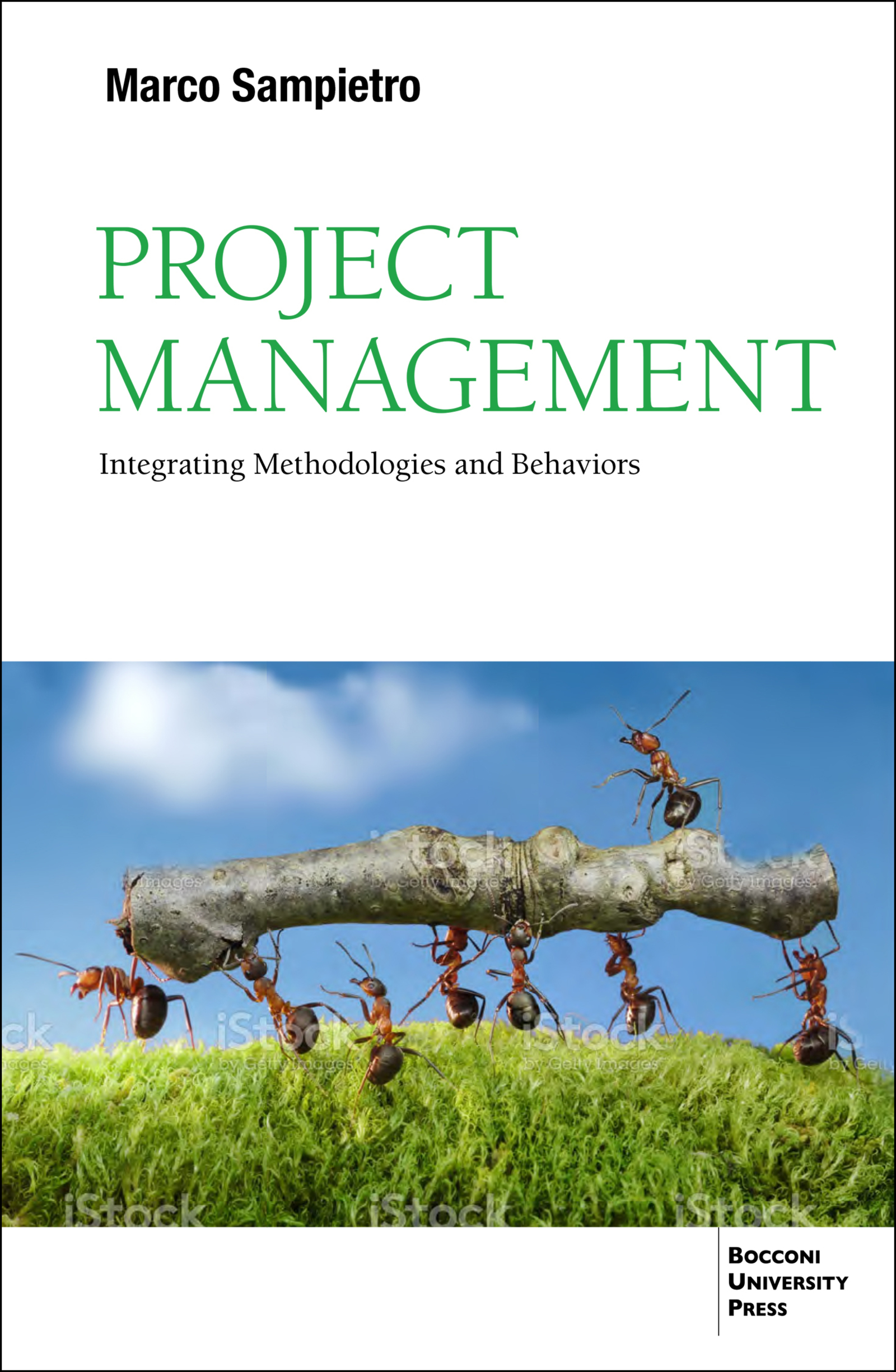 Cover image for Project Management