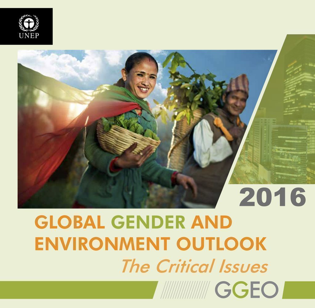 Cover image for Global Gender and Environment Outlook 2016: The Critical Issues