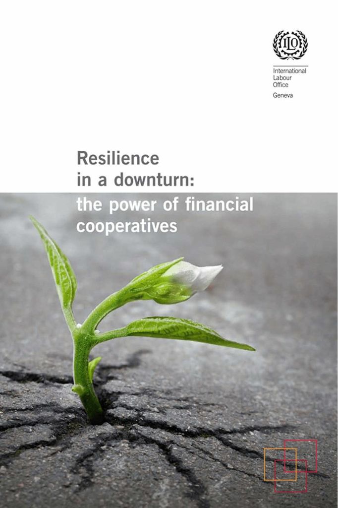 Cover image for Resilience in a downturn