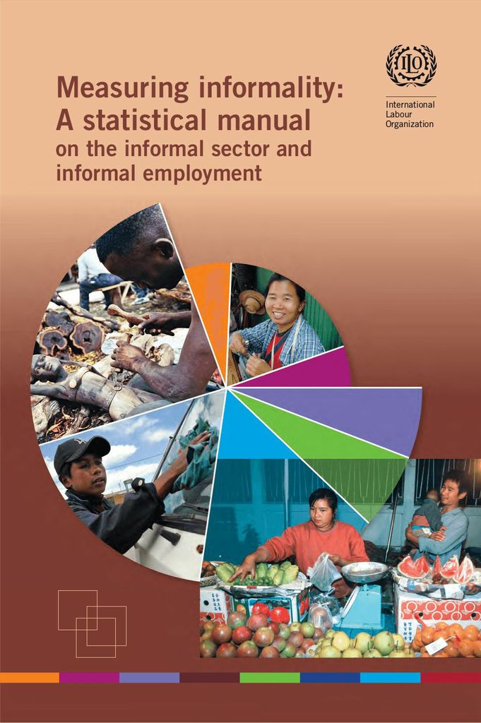 Cover image for Measuring Informality
