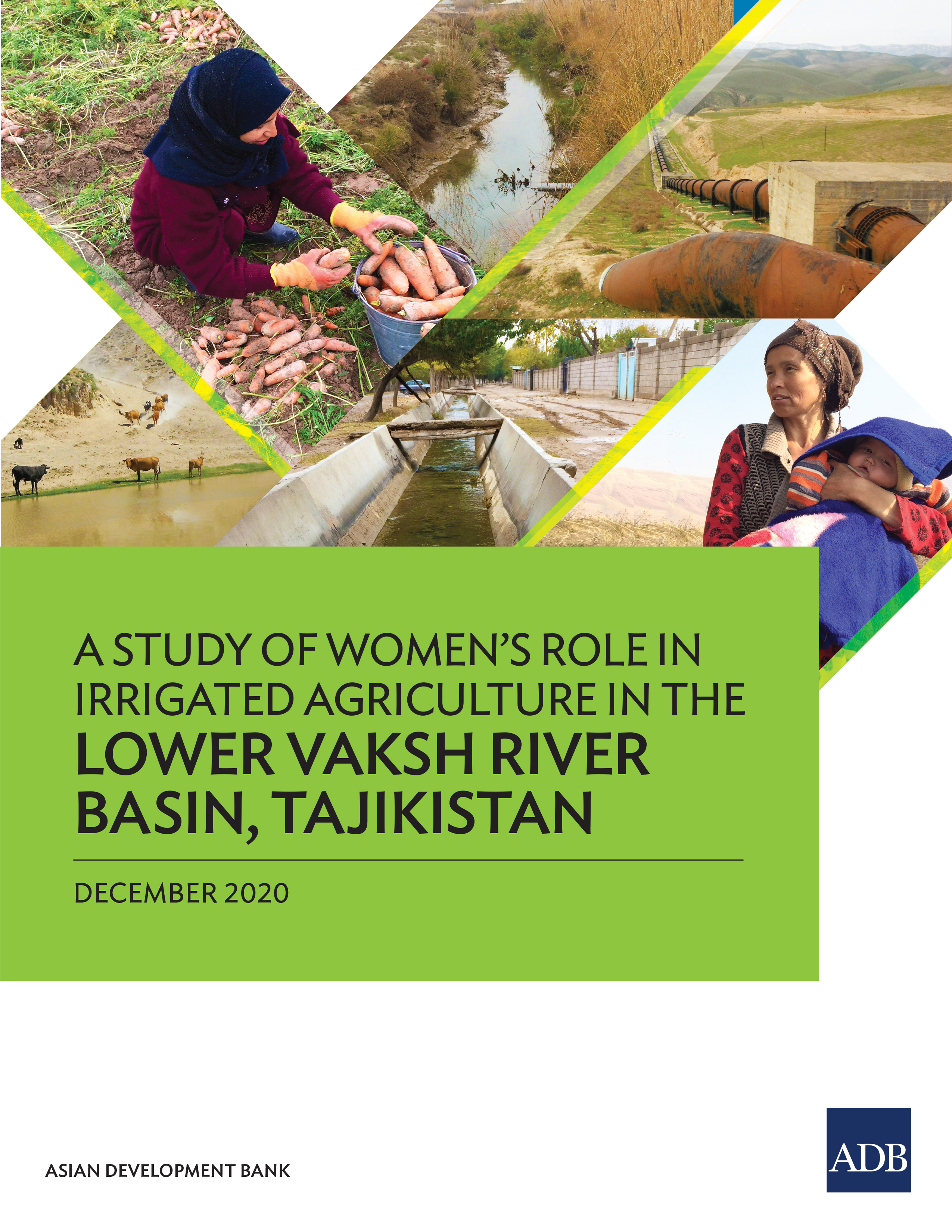 Cover image for A Study of Womens Role in Irrigated Agriculture in the Lower Vaksh River Basin, Tajikistan