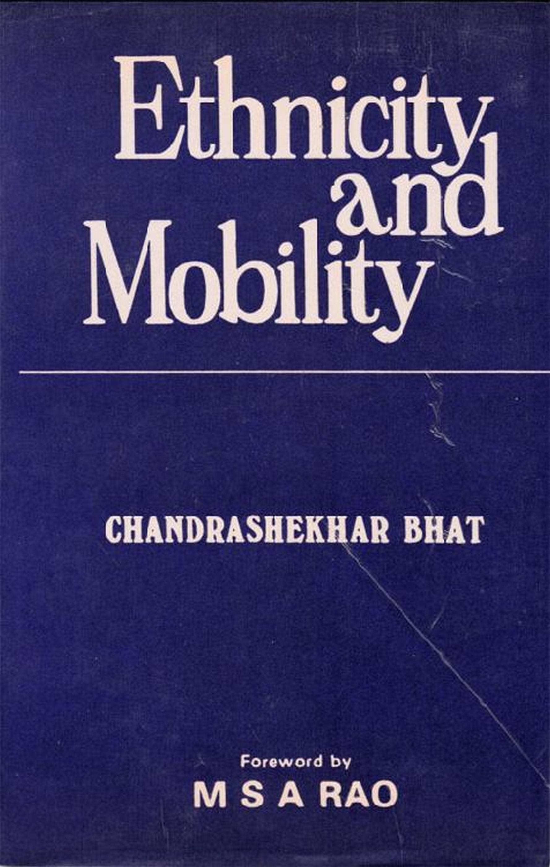 Cover image for Ethnicity And Mobility (Emerging Ethnic Identity And Social Mobility Among The Waddars Of South India)