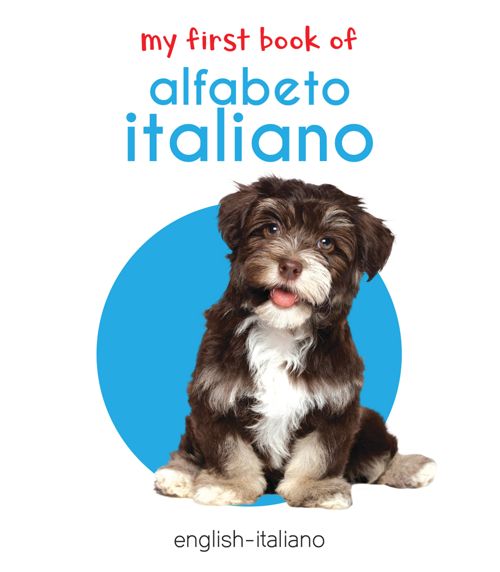 Cover image for My First Book of Alfabeto Italiano