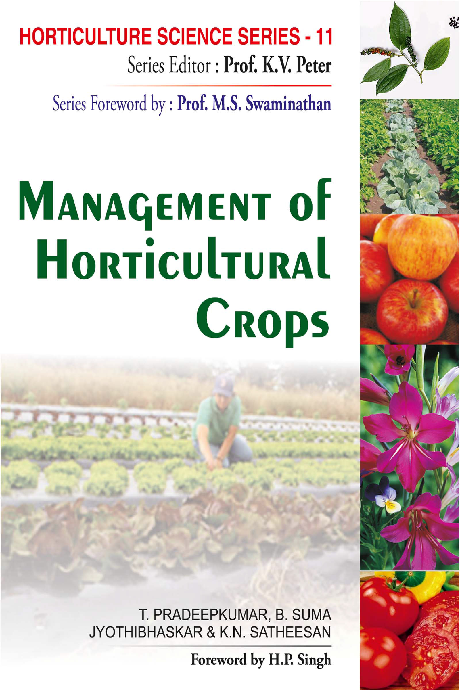Keyword For What Are The Horticultural Crops