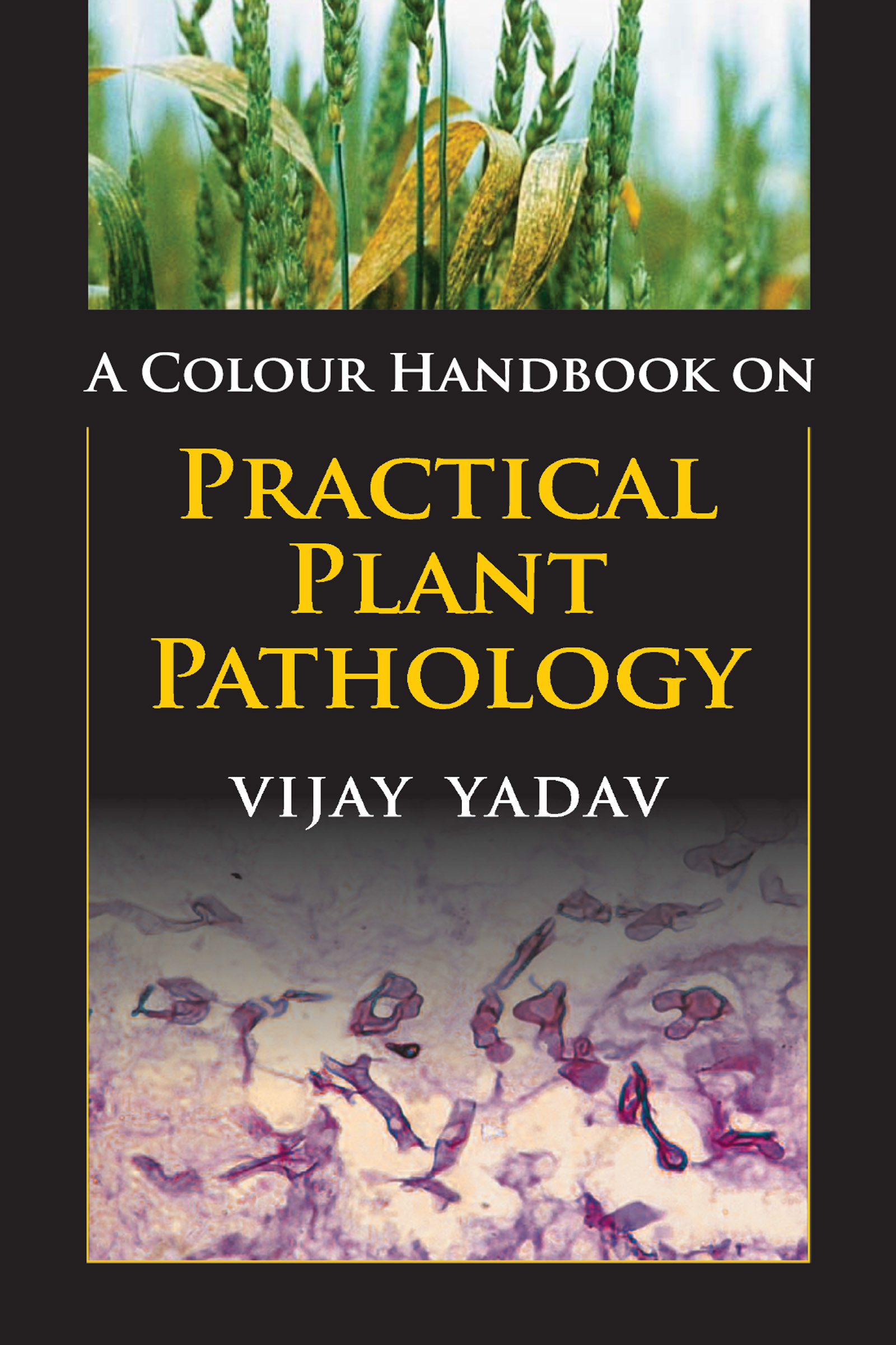 Cover image for A Colour Handbook On Practical Plant Pathology