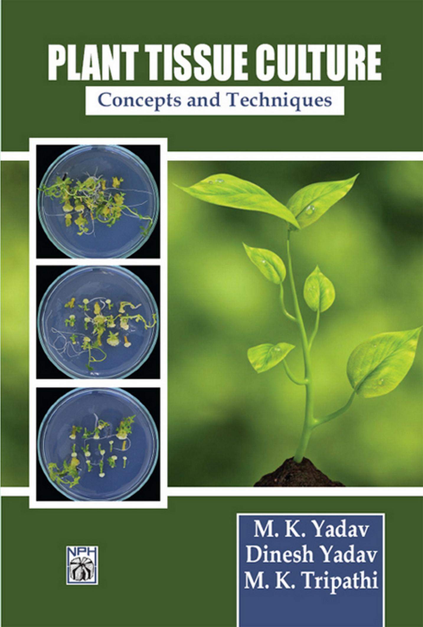 Cover image for Plant Tissue Culture Concepts And Techniques