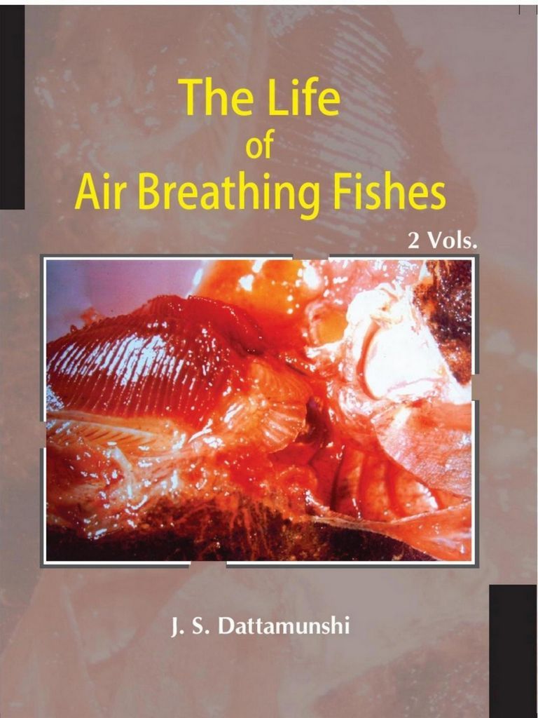 Cover image for The Life Of Air Breathing Fishes Palaeo-Ecology, Evolution, Diversity, Cardio-Respiratory Innovations And Life Pattern