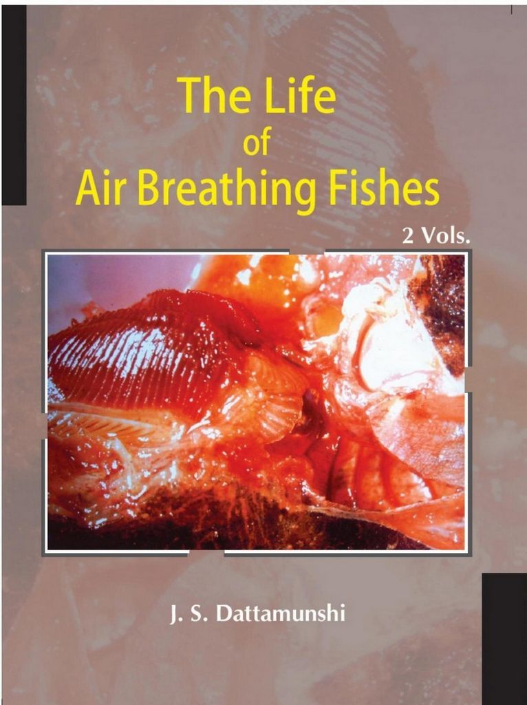 Cover image for The Life Of Air Breathing Fishes Palaeo Ecology, Evolution, Diversity, Cardio-Respiratory Innovations And Life Pattern