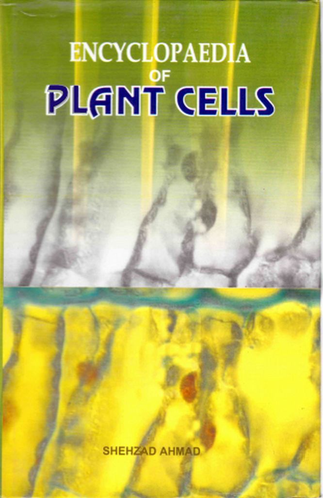 Cover image for Encyclopaedia Of Plant Cells