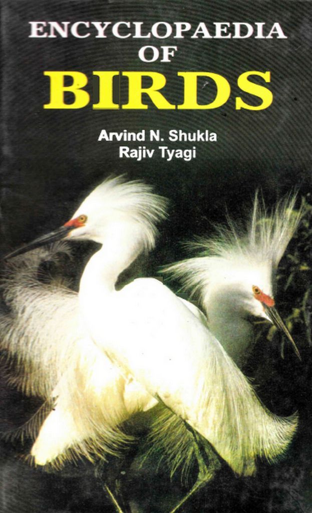 Cover image for Encyclopaedia of Birds