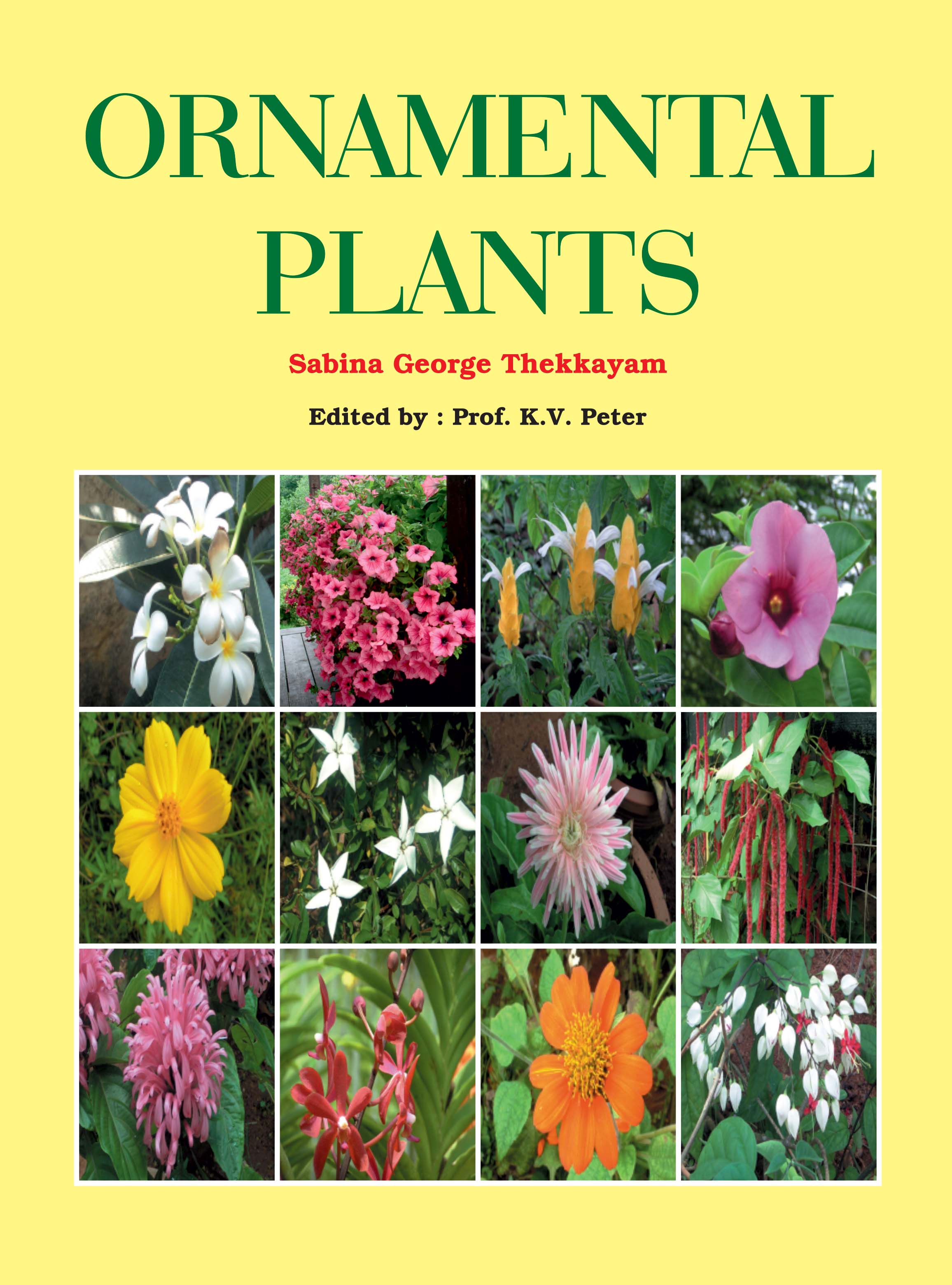 Cover image for Ornamental Plants