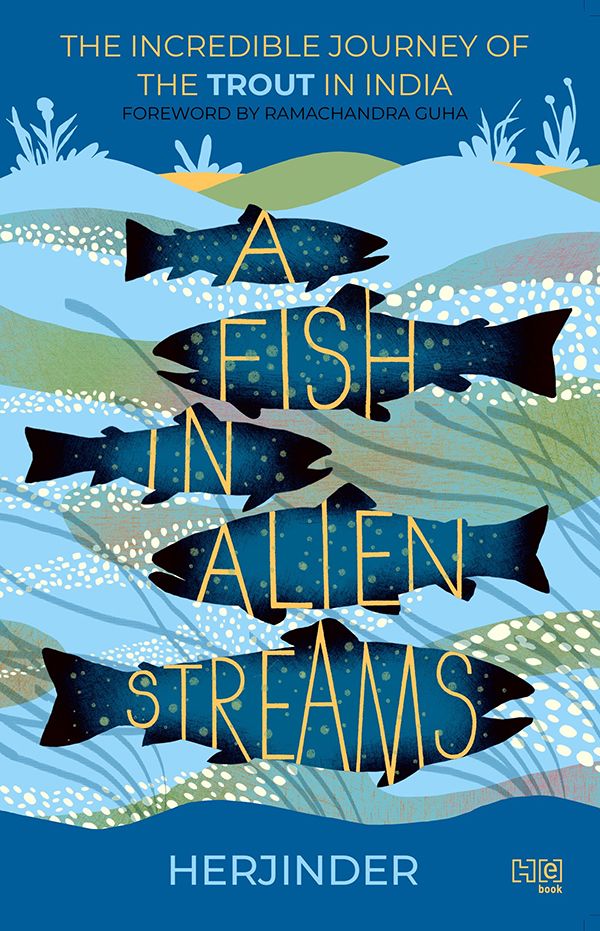 Cover image for A Fish in Alien Streams