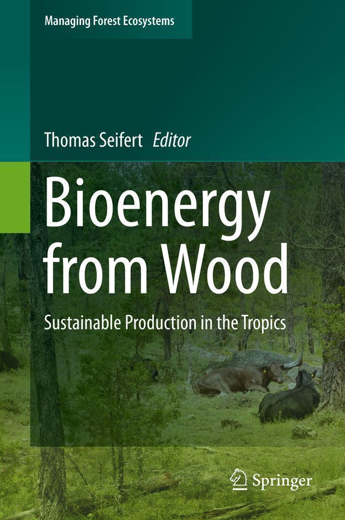 Cover image for Bioenergy from Wood