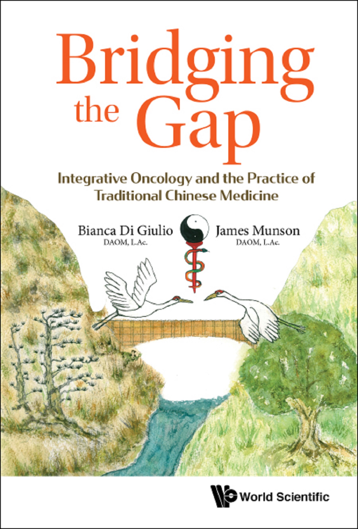 Cover image for BRIDGING THE GAP