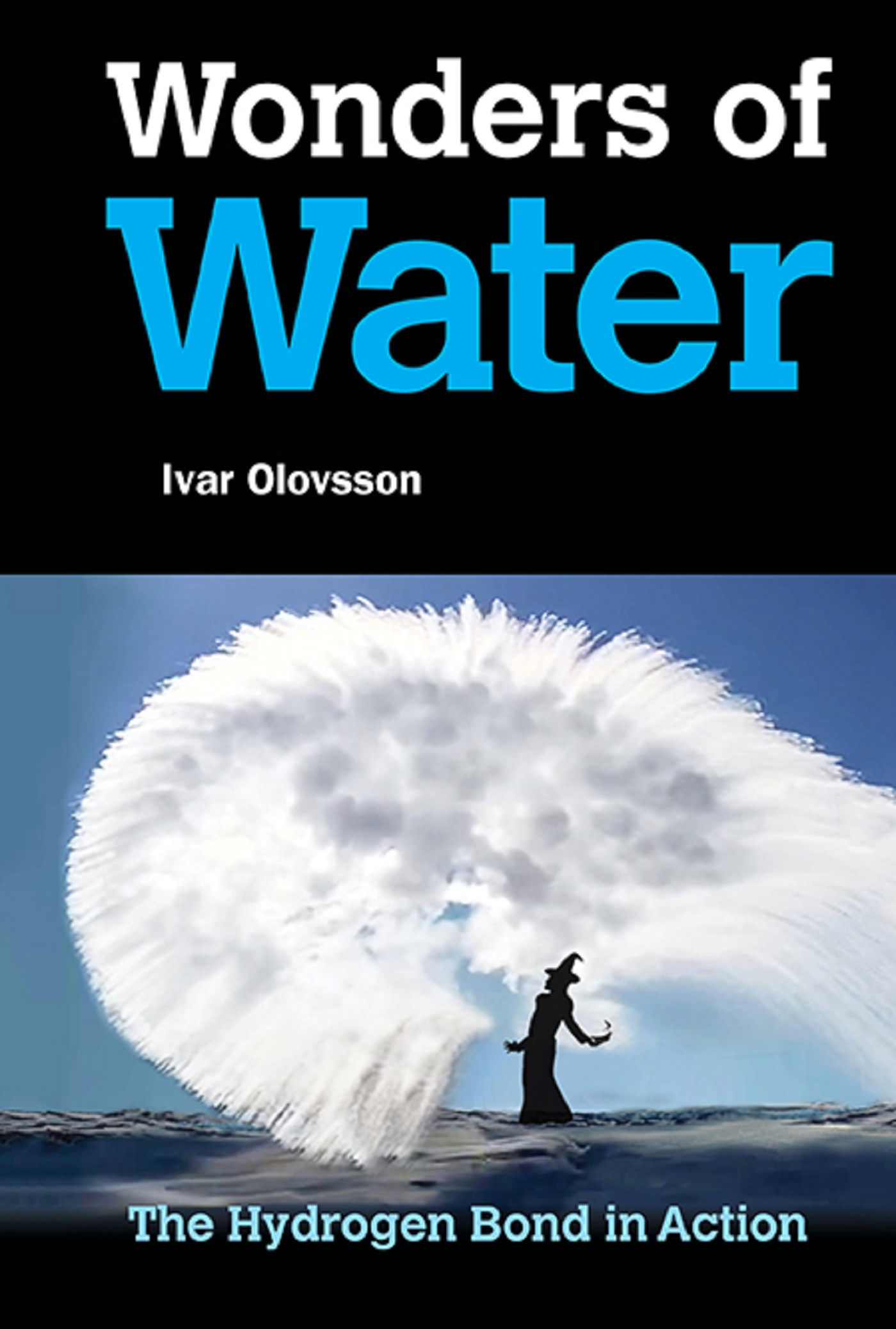Cover image for WONDERS OF WATER: THE HYDROGEN BOND IN ACTION