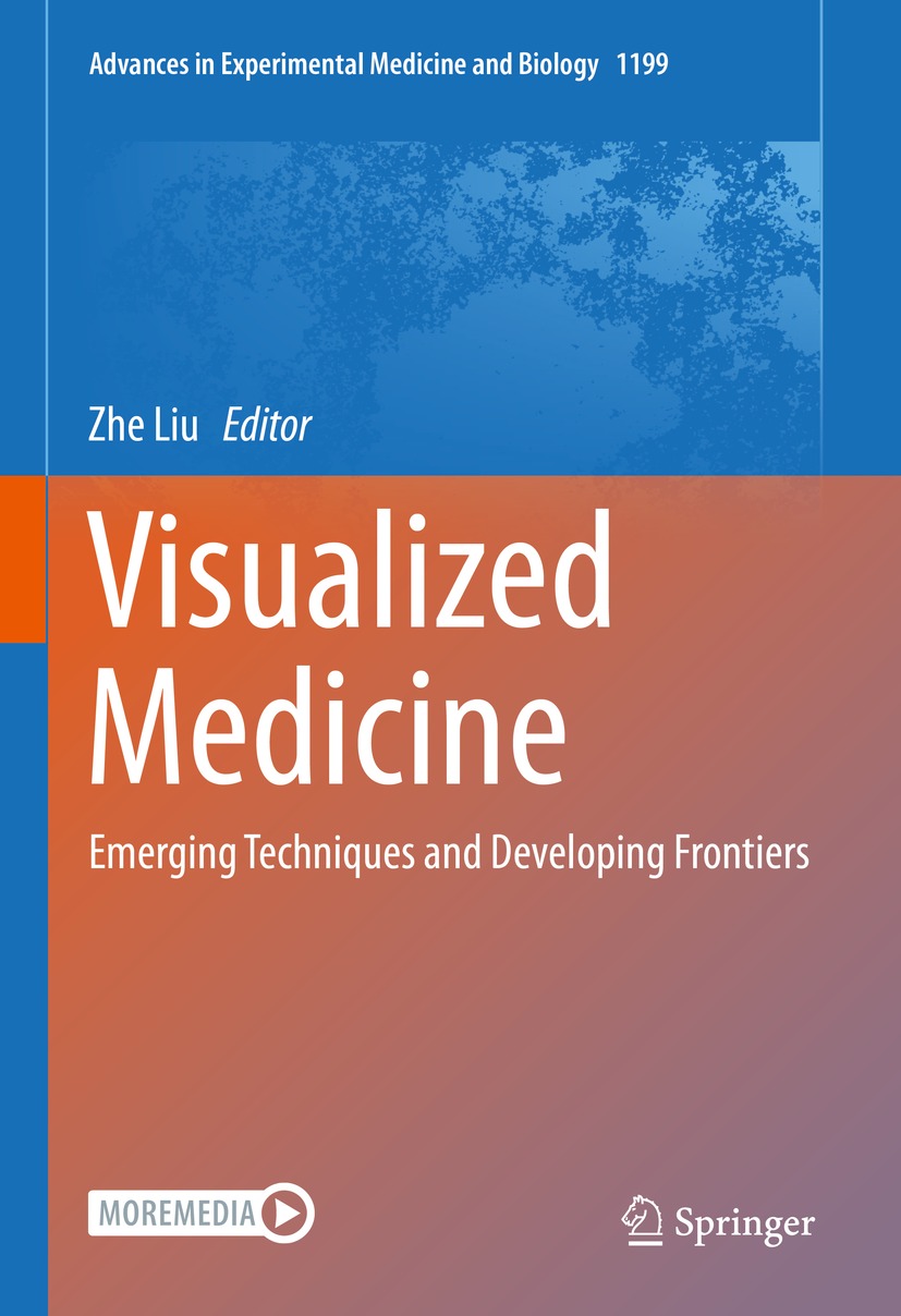 Cover image for Visualized Medicine