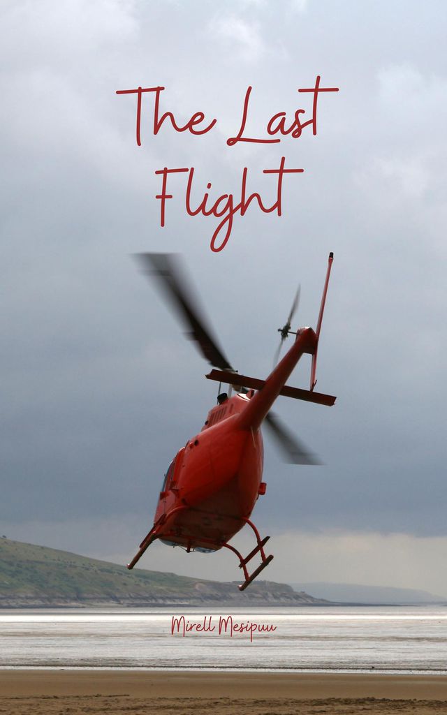 Cover image for The Last Flight