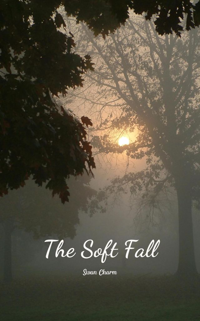 Cover image for The Soft Fall