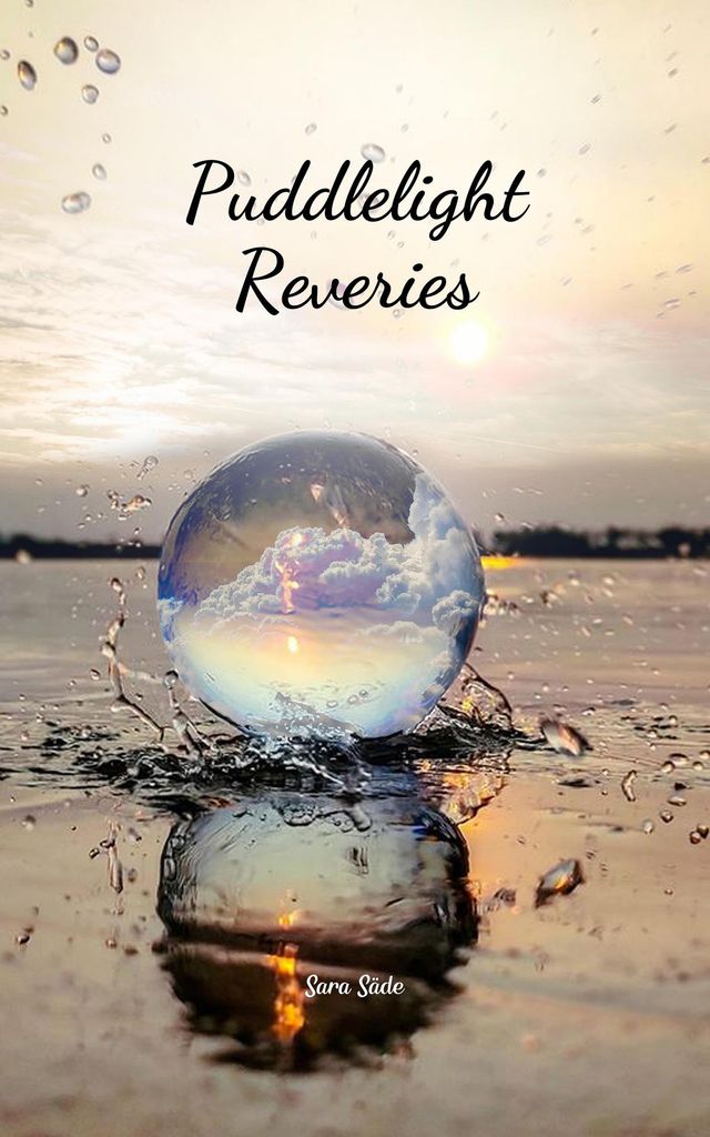 Cover image for Puddlelight Reveries