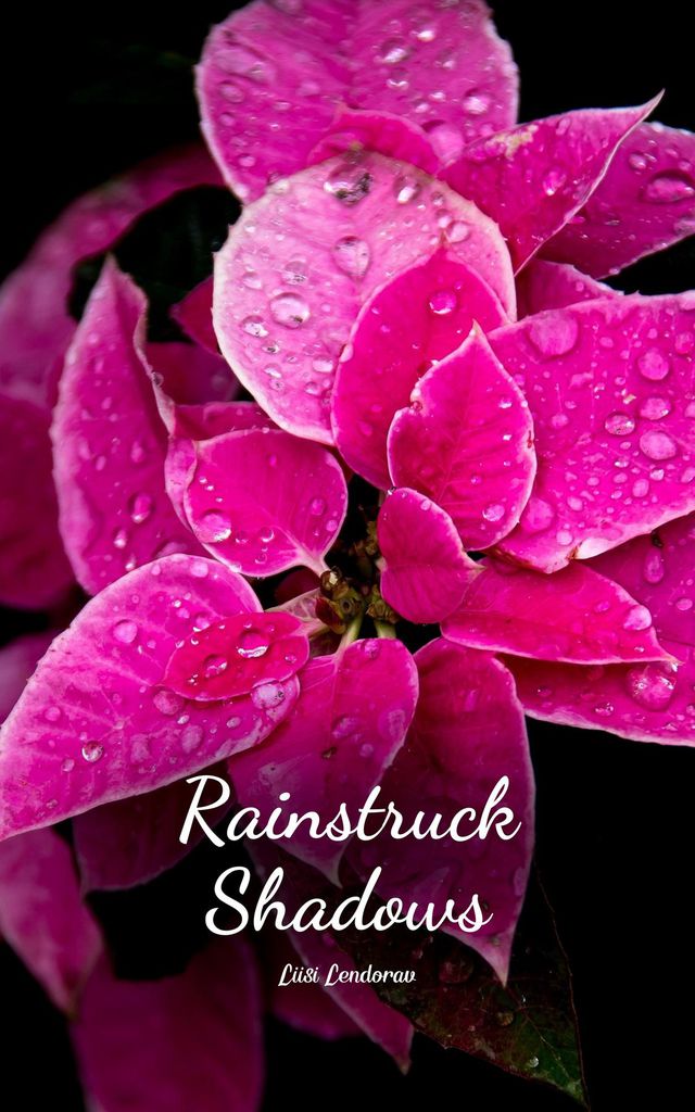 Cover image for Rainstruck Shadows