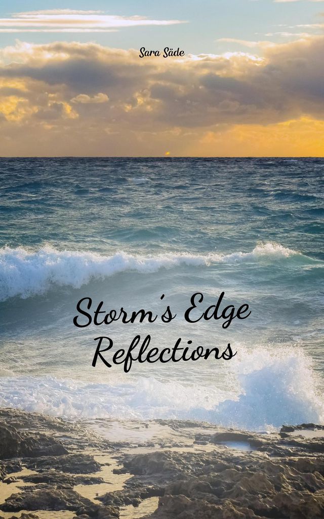Cover image for Storm's Edge Reflections