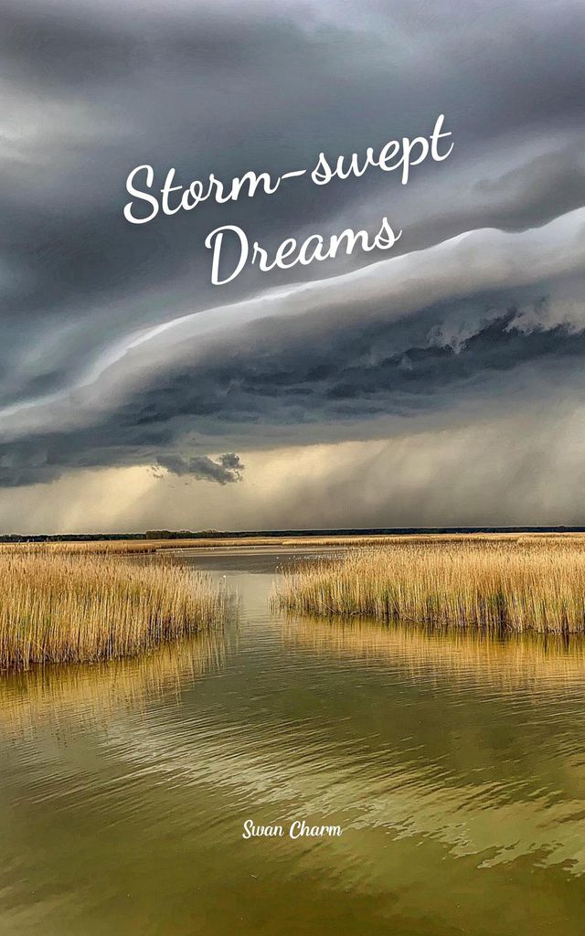 Cover image for Storm-swept Dreams