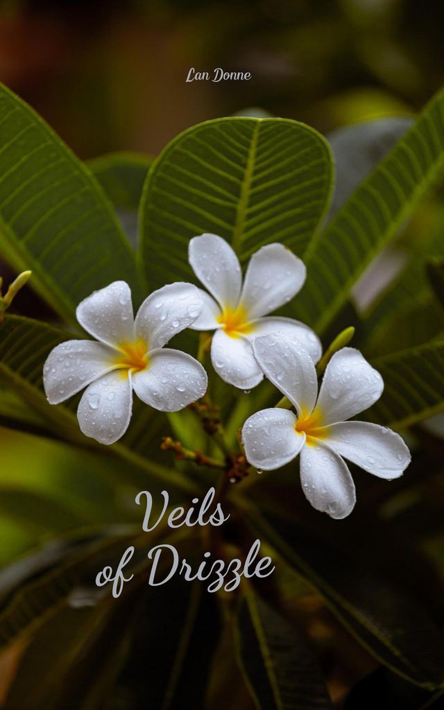 Cover image for Veils of Drizzle