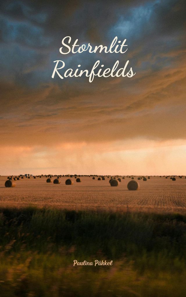 Cover image for Stormlit Rainfields